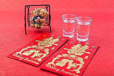 《碧蓝幻想Versus：Rising》DLC角色“维萨西娅”8月20日上线 免费更新同步